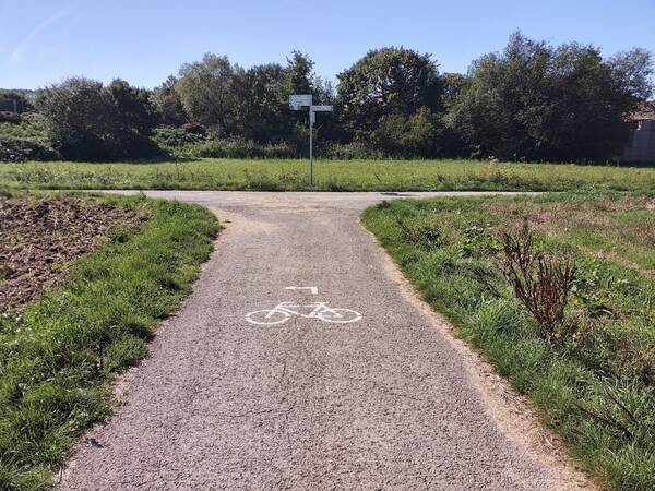 Ein Fahrradpiktogramm auf einem Feldweg zeigt an, dass der Radweg nach links weiterführt.