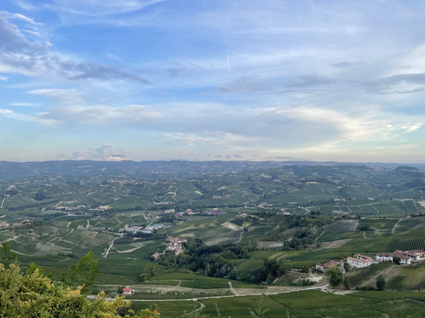 Die Landschaft rund um Bra mit vielen grünen Hügeln und Weinbergen. Dazwischen liegen kleine Dörfer.