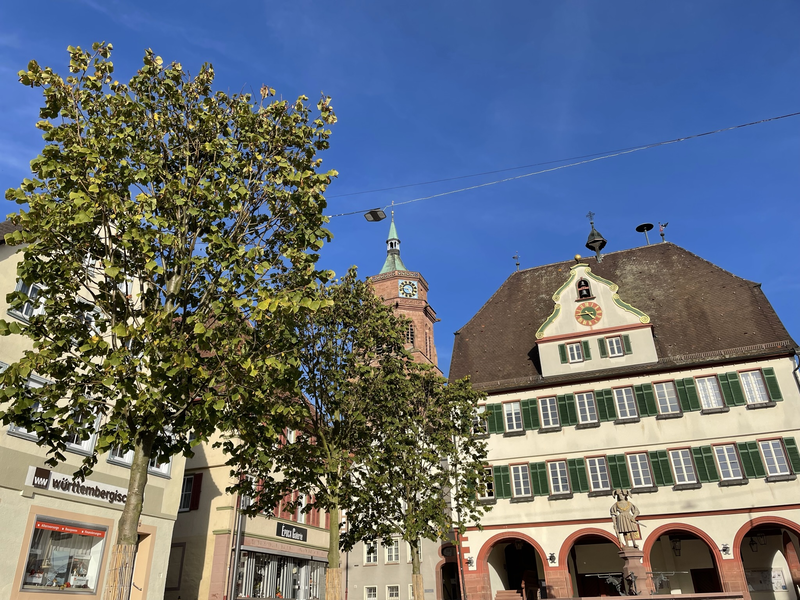 Die Bäume der Raumfahrtallee im Vordergrund, mit der Rathaus im Hintergrund