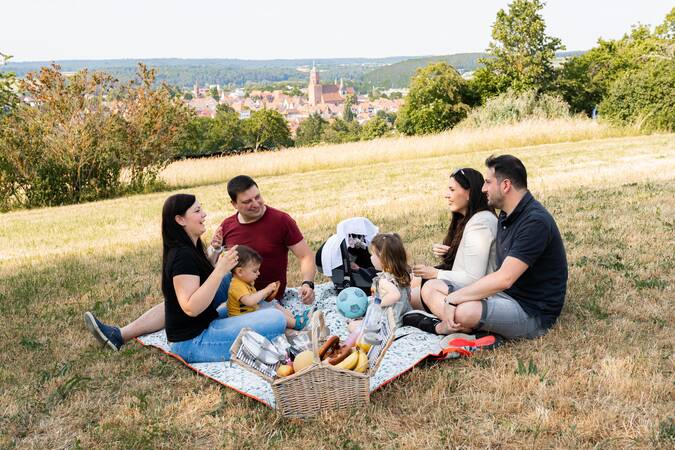 Zwei Familien beim Picknick mit Weil der Stadt im Hintergrund
