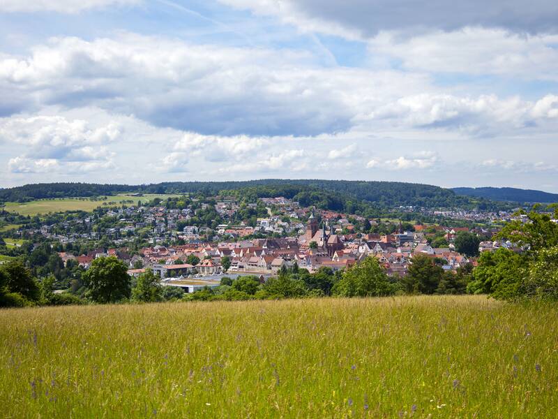 Blick auf  Weil der Stadt von Schafhausen