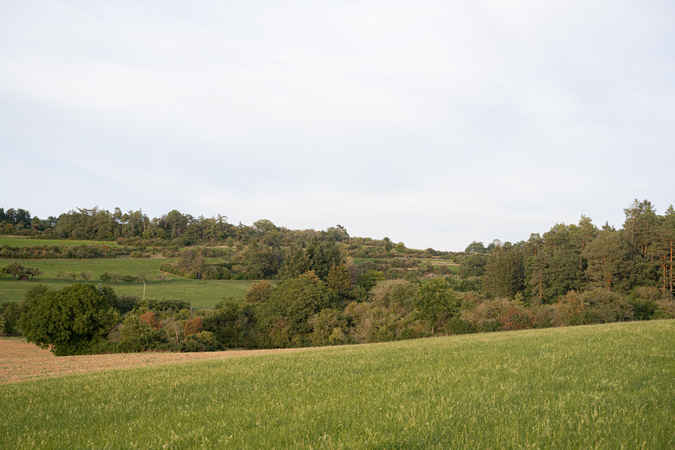 Das Heckengäu