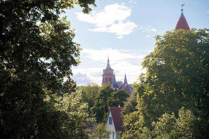 Blick auf die Stadtkirche, umgeben von Bäumen und blauem Himmel.