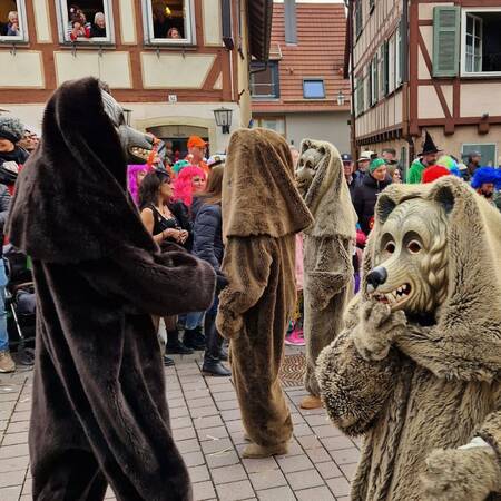Auf dem Bild sind Weiler Bären zu sehen, wie sie während der Fasnet in Weil der Stadt unterwegs sind.