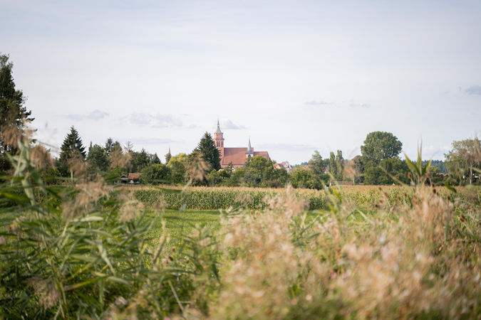 Aussicht auf die St. Peter und Paul 