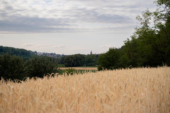 Die Schönheit der Natur.