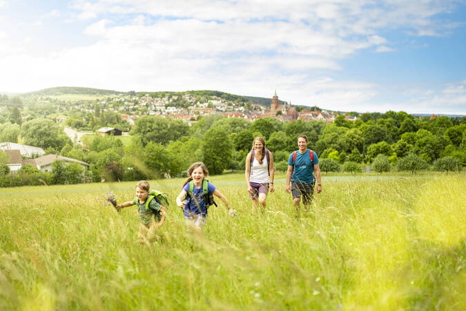Familie die durch die Wiese laufen