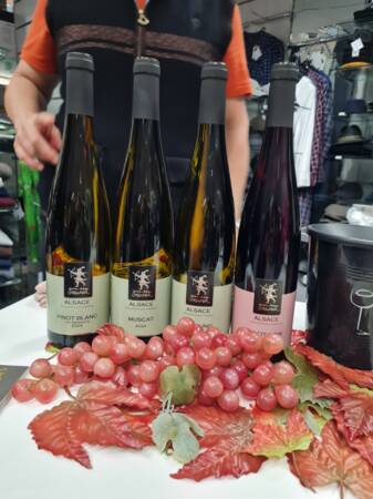 Weinflaschen traipert hinter Trauben und Weinblätter
