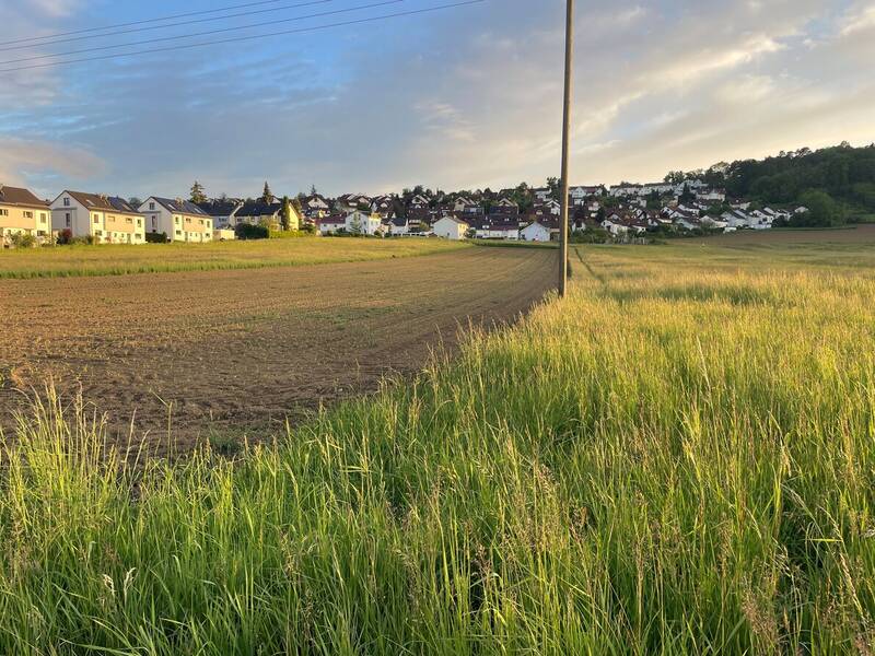 Eine grüne Wiese und ein bepflanztes Feld führen zu einer Siedlung mit mehreren Wohnhäusern im Hintergrund, die in der Abendsonne liegt.